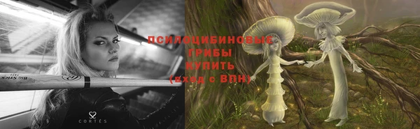 спайс Абинск